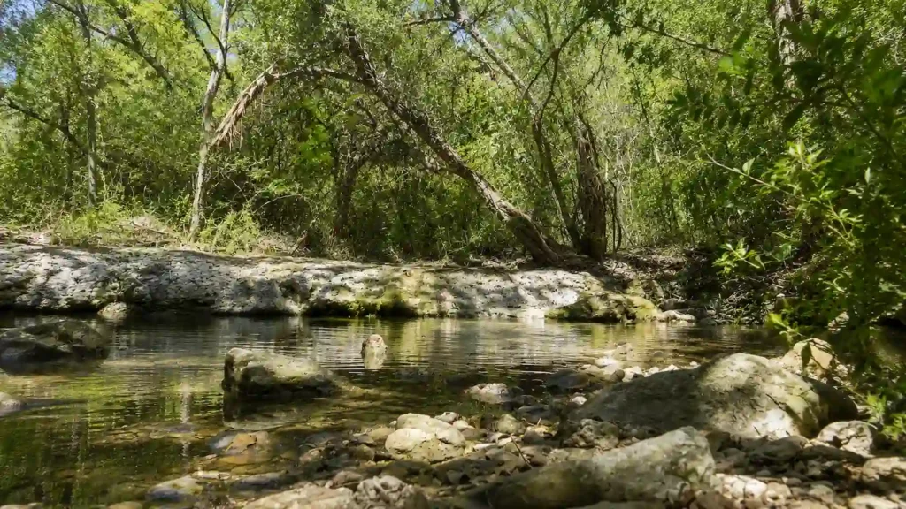 Thumbnail-For-Commercial Hydro Jetting in North Austin TX_ One Area, Many Kinds of Drains-By-EZ Flow HydroJetting